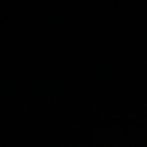 Meet your Posher, Makenzi